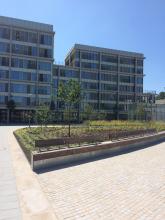 Assistentiewoningen De Houtmarkt