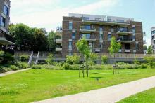 Assistentiewoningen Schoonebeeker Lier