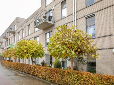 Assistentiewoningen  Silsburg