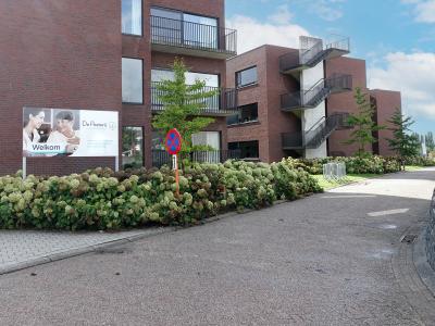De Pastorij Assistentiewoningen