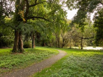 Assistentiewoningen vzw De Lieve GENT