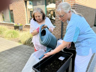 Kasteelhof Assistentiewoningen