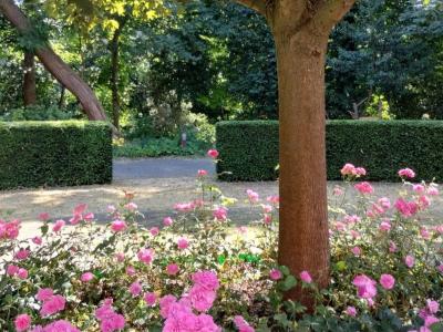 Assistentieflat Te Koop in residentie Meulenberg