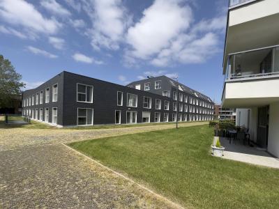 Ezeldijk
