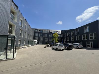 Ezeldijk