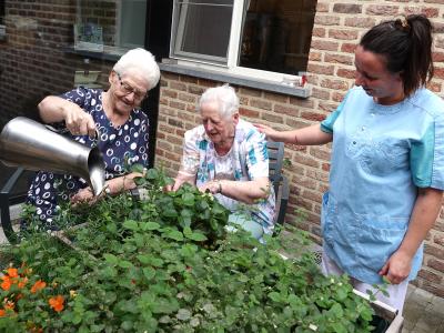 WZC-Herstelverblijf Heydeveld