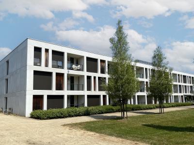 Wijgmaalbroek