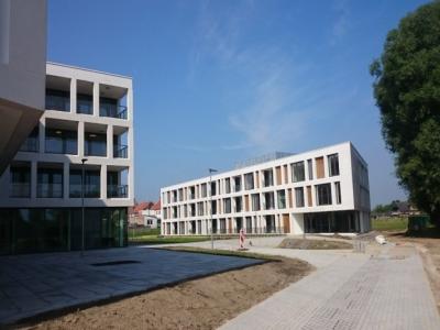 Wijgmaalbroek