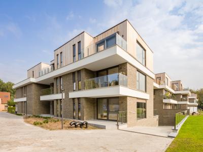Meerschevenne