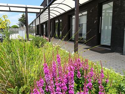 Residentie Bellevue-Gavere  ( 90% bezet - vlak aan de Markt - vanaf 990€/maand - inclusief ALLE service)