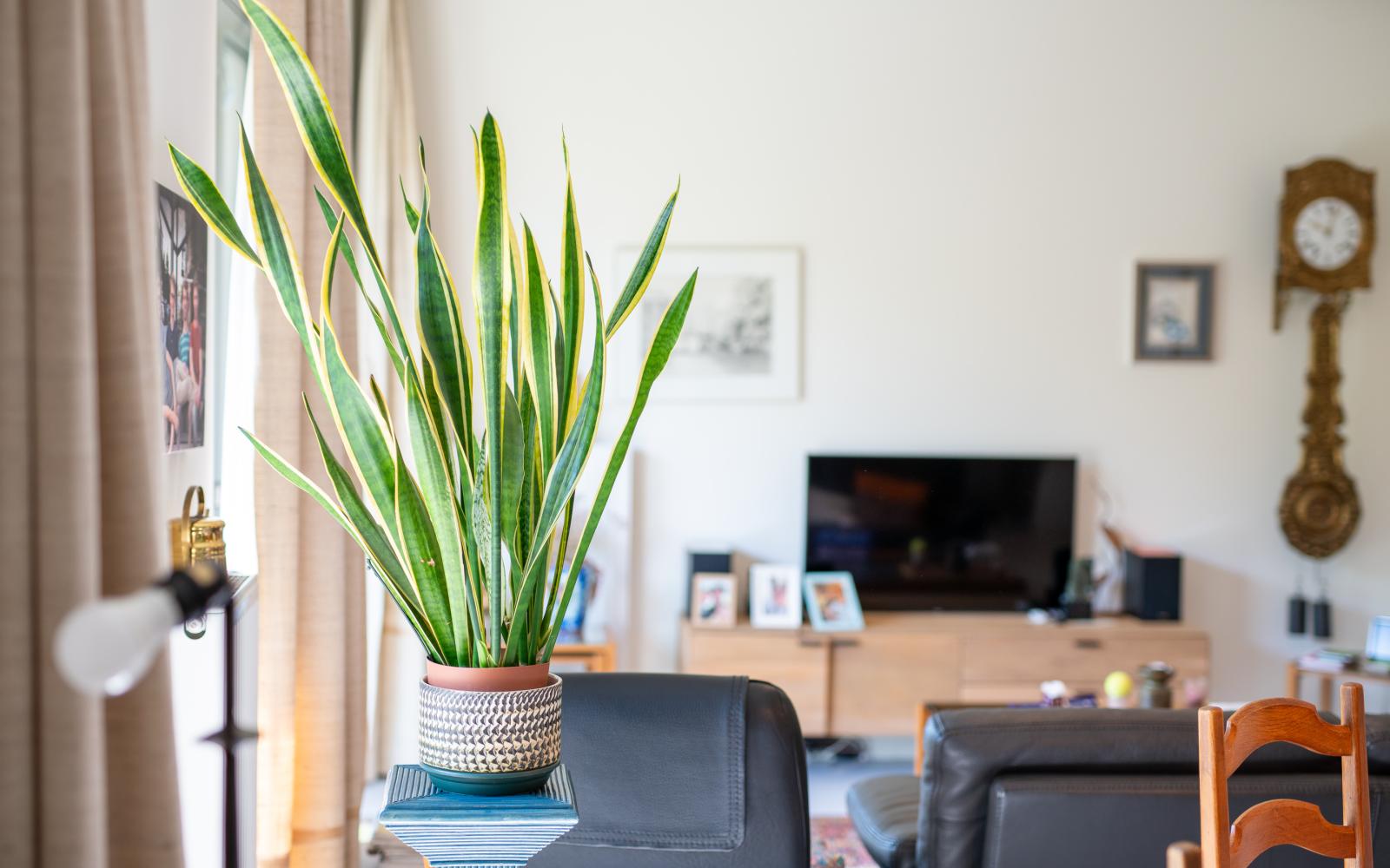 Assistentiewoningen Hof ter Schelde