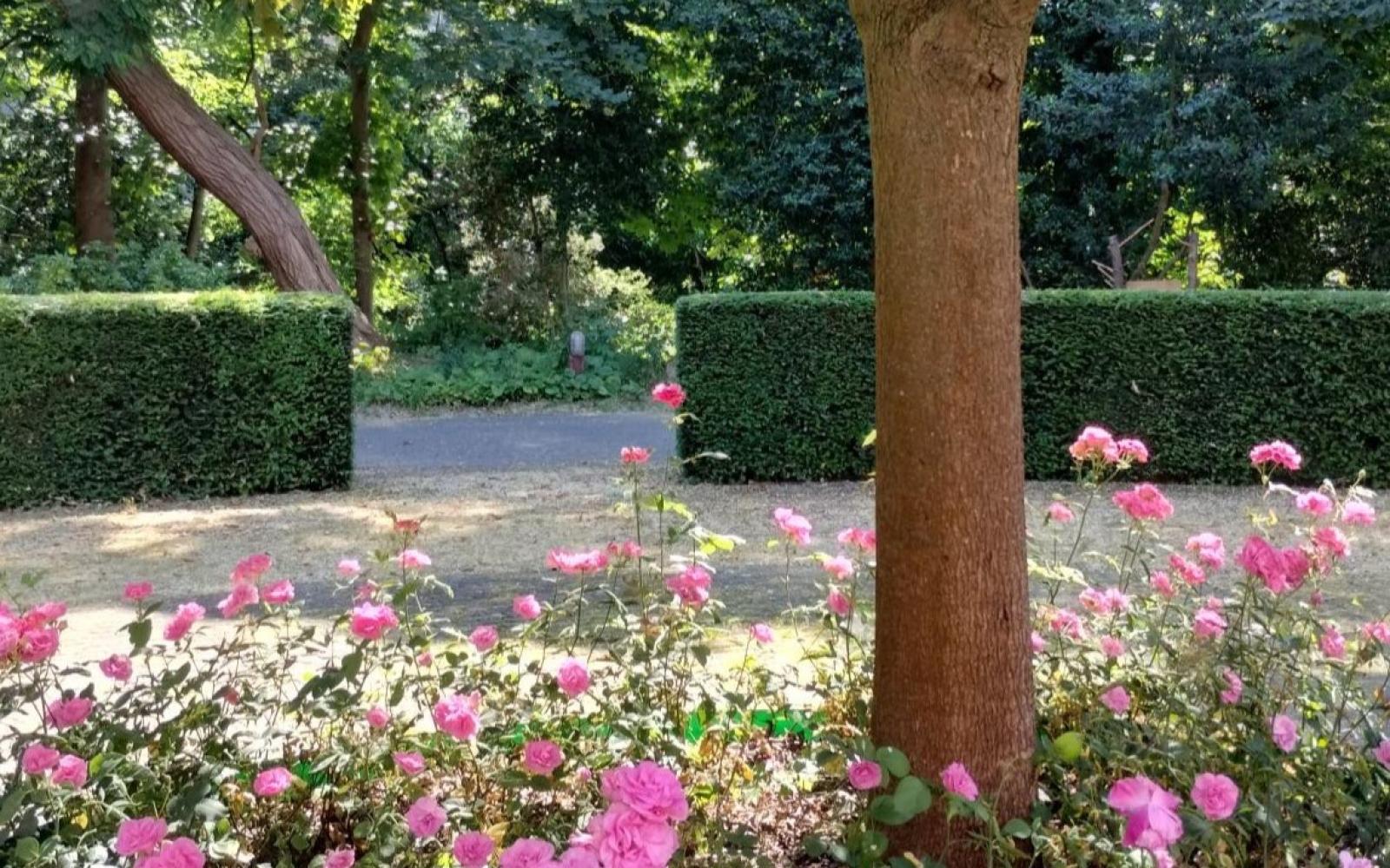 Assistentieflat Te Koop in residentie Meulenberg