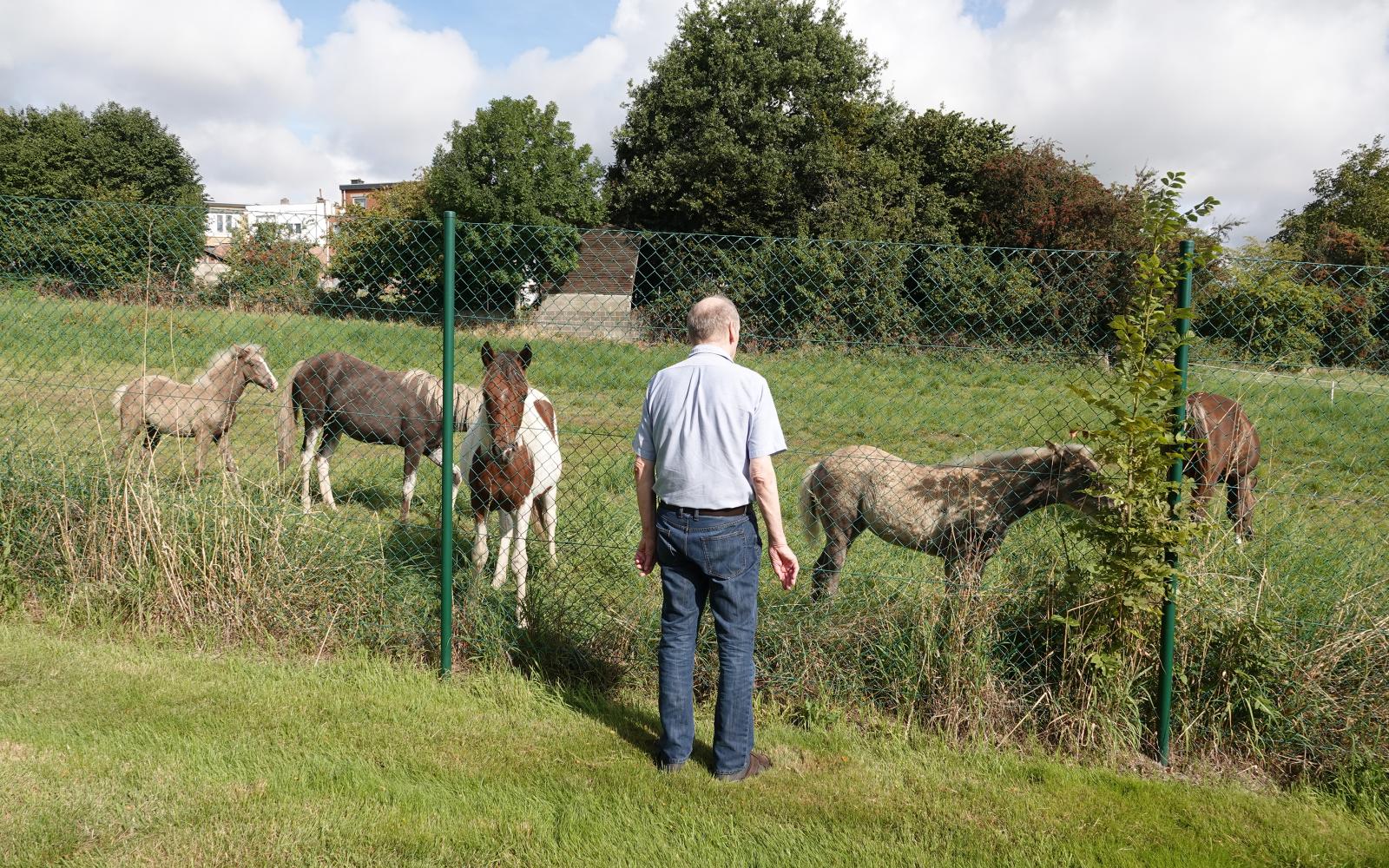 Domaine des Lys