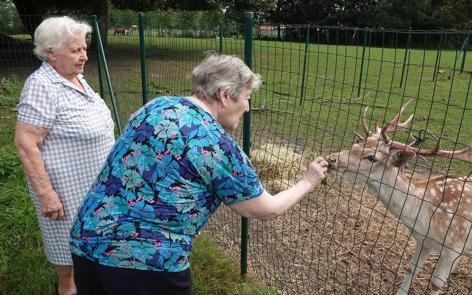 Résidence Les Jardins d&#039;Astrid