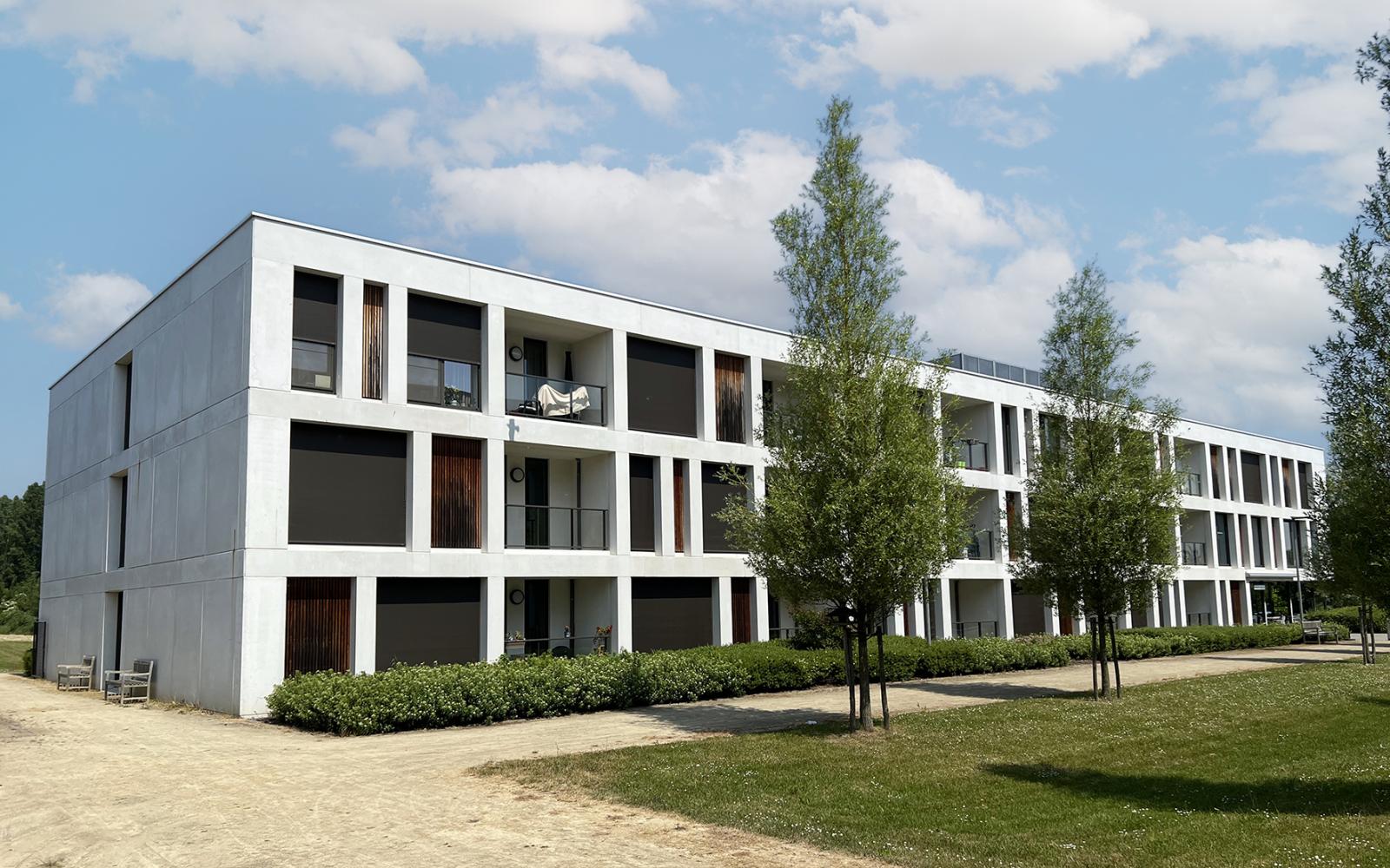 Wijgmaalbroek