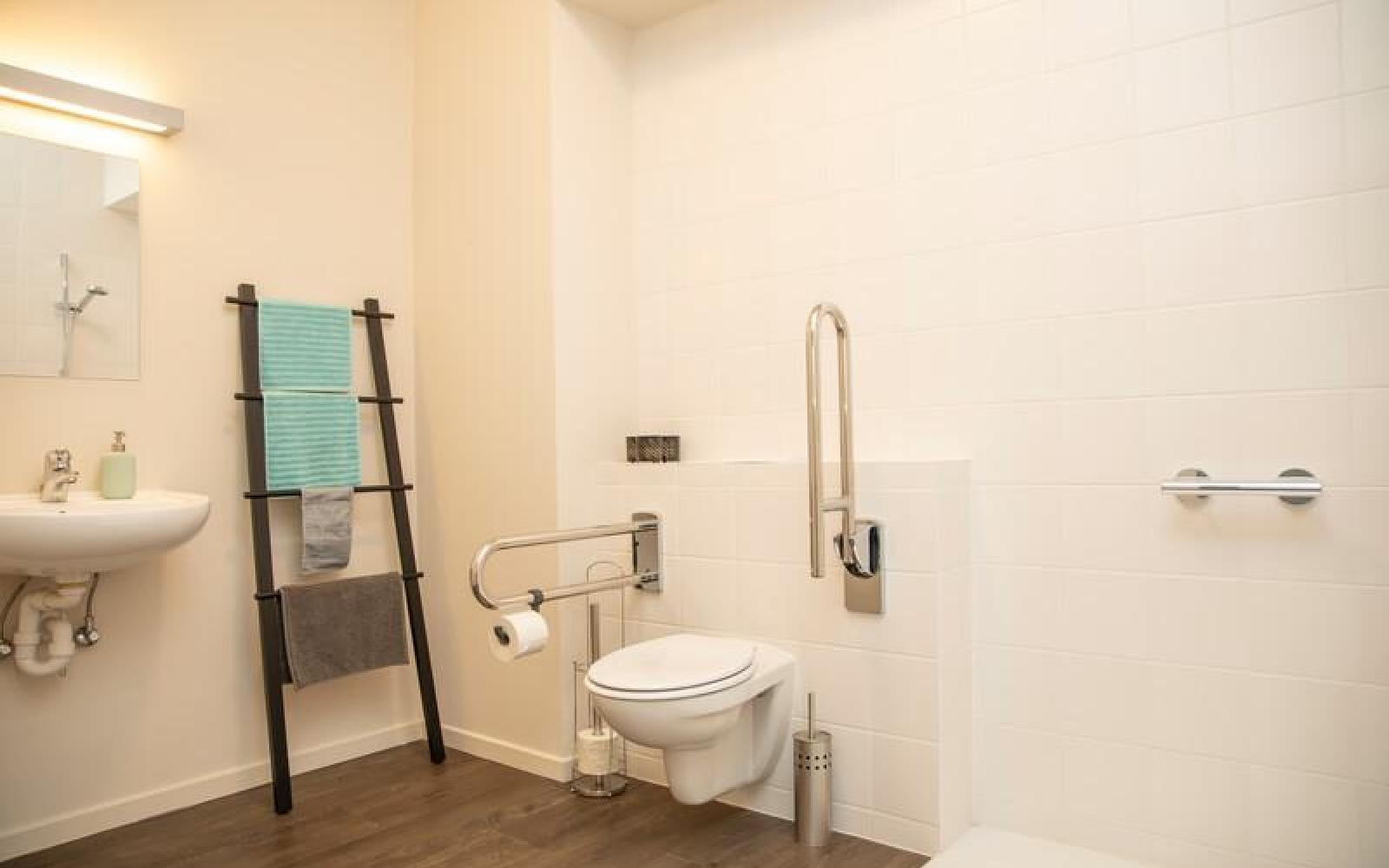 Assistentiewoningen Goeleven