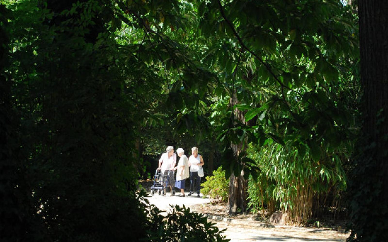 RESIDENTIE RAVELSBERG • assistentiewoningen (serviceflat(s)) te huur in