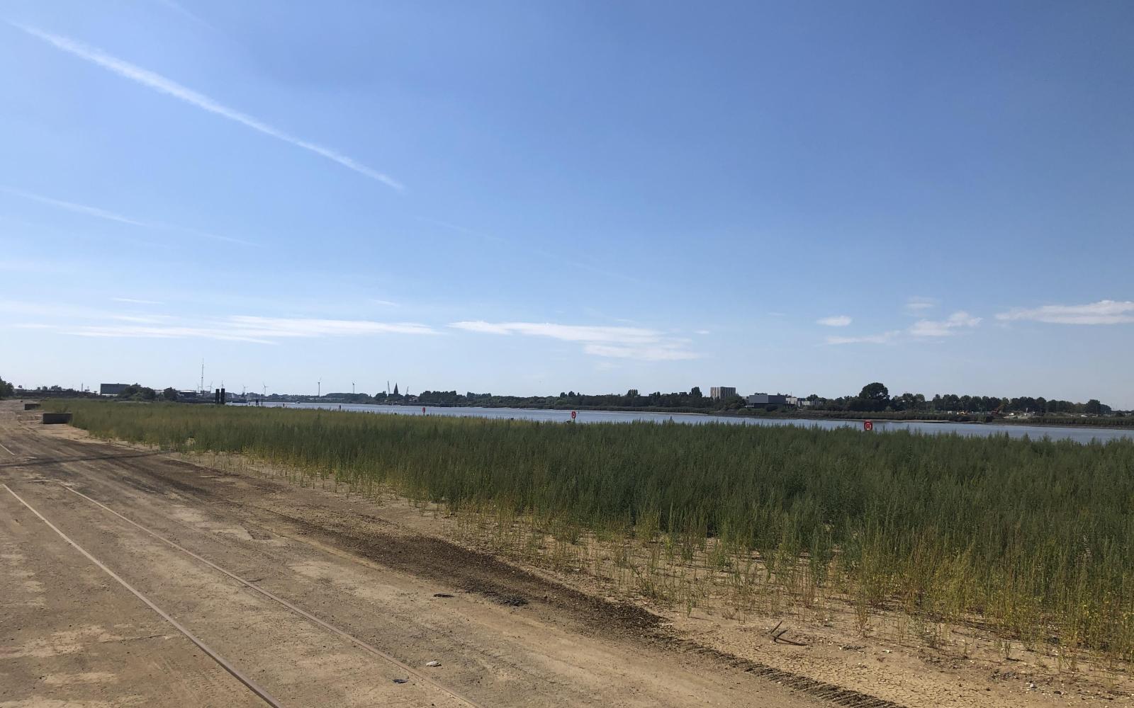 Residentie Schelde 21