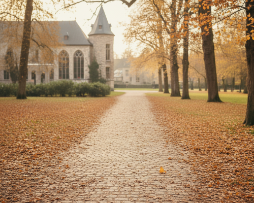 Leuke herfst- en winteruitstappen in België voor wie minder mobiel is